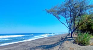 Menyusuri Keindahan Pantai Goa Cemara Yogyakarta