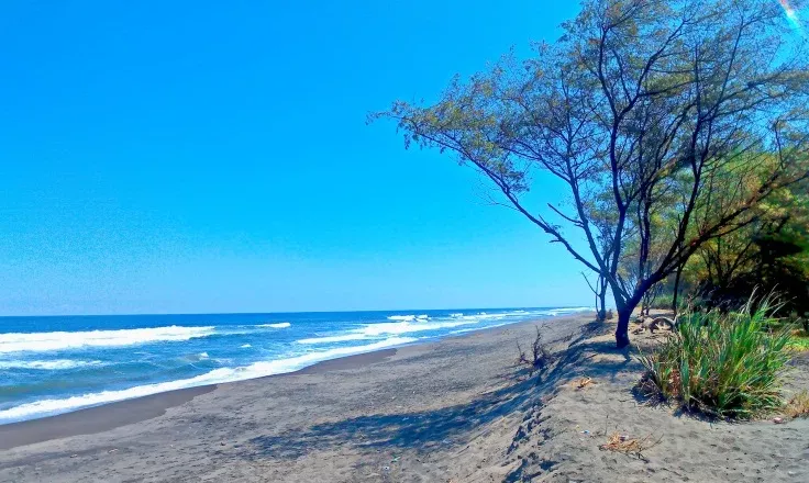 Menyusuri Keindahan Pantai Goa Cemara Yogyakarta